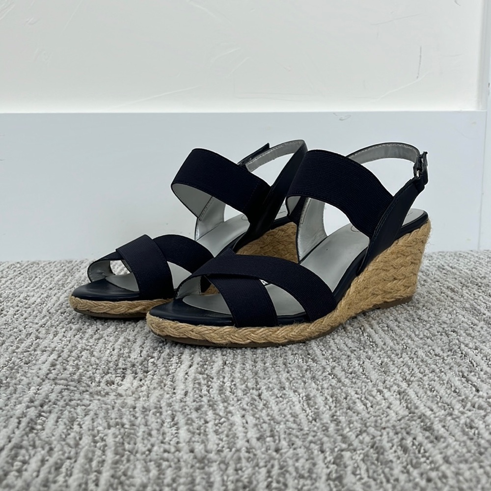 navy blue, size 10 wedges